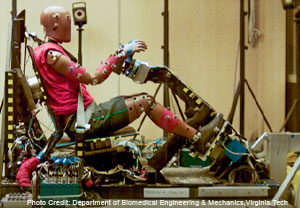 UseCase-Human-Subjects-3 Photo Credit: Department of Biomedical Engineering & Mechanics, Virginia Tech