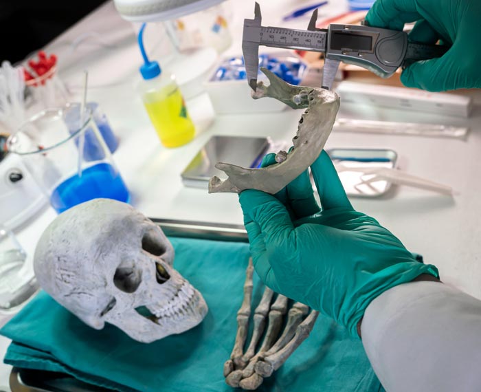 UseCase-PMHS-Testing-Main