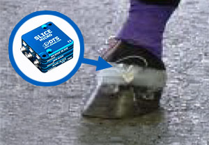 DTS SLICE MICRO DAQ - Racehorse Application